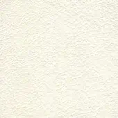 Textured off-white plaster surface with imprinted text “bross > leather (d) sweet > col. 500”, displaying matte finish and irregular bumpy ridges.